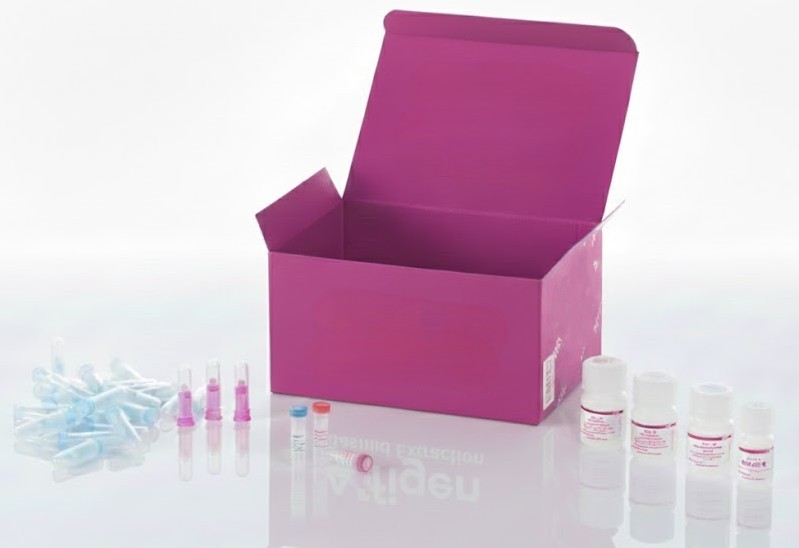 Células de cáncer de mama humano [células HCC1395] – 1x 10^6 células